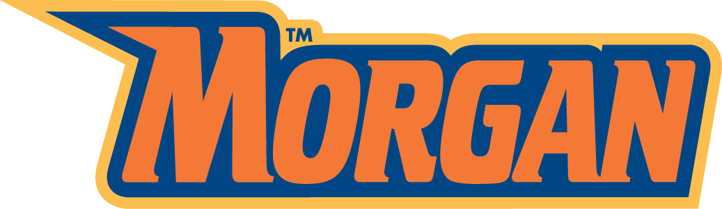 Morgan State Bears 2002-Pres Wordmark Logo v7 t shirts iron on transfers